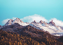 开云-严益唯：海米提弱弱的“抱歉”为何稀奇